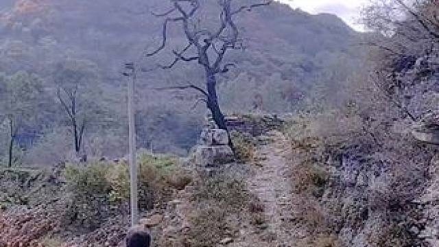 #农村生活 #老家在山区#大美章丘官庄篇（1157）中白秋村。背负行囊，远离了熟悉的炊烟，每一步都踏