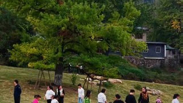 徽县田河秋色#属于秋天的颜色 #寻美徽县#千年古树#我是家乡陇南文旅推荐官