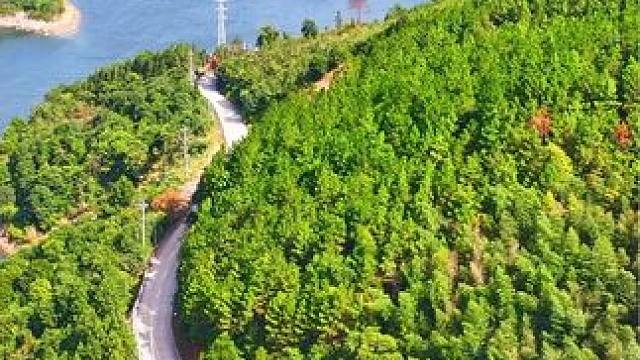 推荐一条风景秀美的自驾摩游线路，湖光山色美不胜收，但知道的人却很少，它就是广东262省道。#更好的风