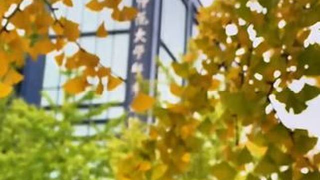 十月秋醺暮雨，浪漫永不落幕#给生活加点甜 #烤一串秋天