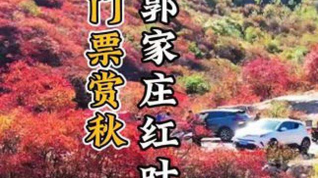 无门票，济南郭家庄赏红叶攻略 #旅行推荐官 #济南 #红叶 #又到登山赏红叶的好时节 #济南周边一日