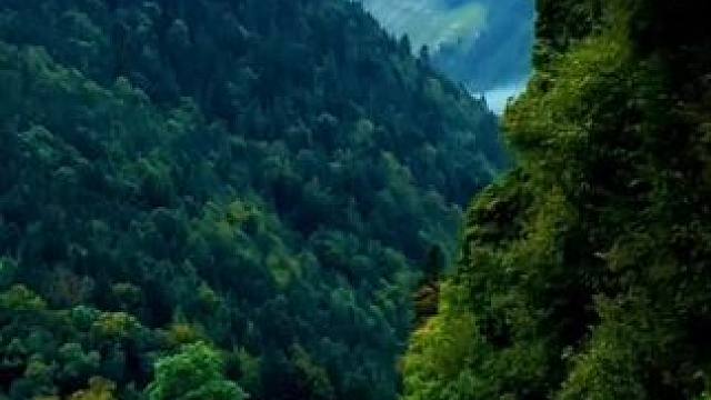 #更好的风景永远在路上 #沿途风景随拍 #大山深处自然美