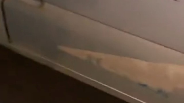 这车  福尔摩斯来了都要哭着回去