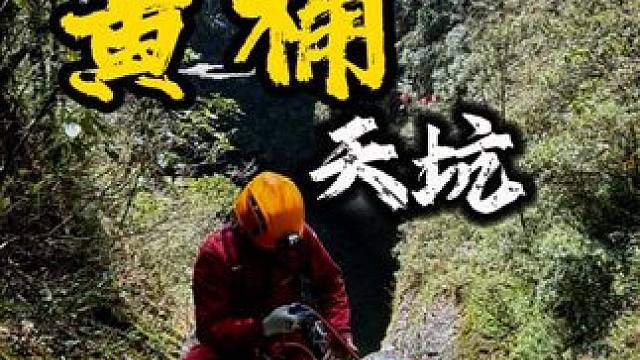 最美黄桶天坑之下发现200头沉睡发酵的二师兄，味道太上头了 ，你能想象到大约200头二师兄，躺在坑底