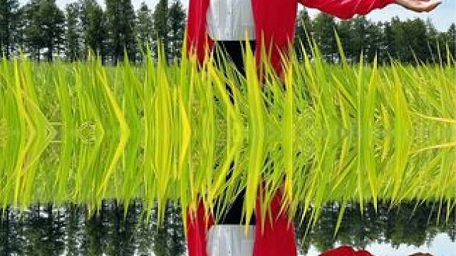 外出游玩如何拍摄创意美照，只需带上一个可调节的天空之镜，任何场景都能拍出创意照#手机摄影 #天空之镜