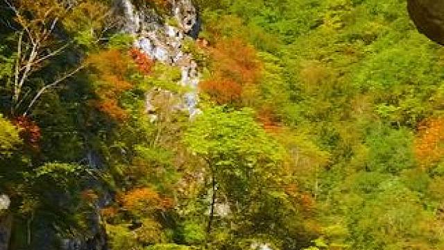 国道210陕西西安市分水岭附近沿途肠子峡秋色 #最美的风景在路上 #旅行推荐官 #秦岭