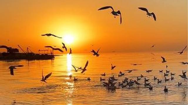 今天的博斯腾湖落日很美，想分享给你#博斯腾湖 #每一帧都是热爱 #创作灵