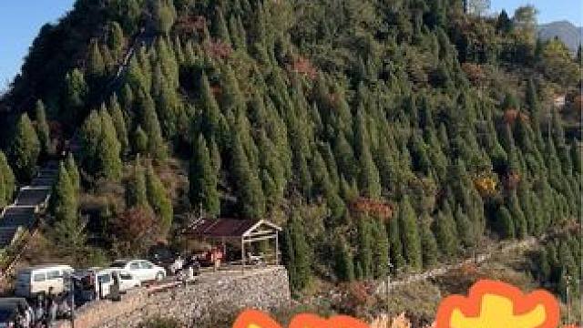 石佛寺 #郑州周边游玩推荐 #河南刚哥#把秋日落叶拍出氛围感 #自驾游 #周末去哪玩