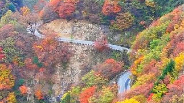 如果我说，这是国内风景指数一流的自驾摩游线路，估计会没什么人反对吧。#更好的风景永远在路上 #来一场