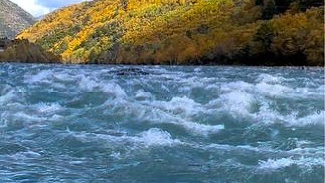 山川给我跳动的脉搏，阳光给我青春的光泽。迷恋于川西的秋，层林尽染，用镜头留住美好瞬间#所有文案都不如