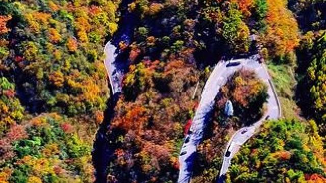 10.25日航拍的米仓山景区天然画廊#治愈系风景 #每一帧都是热爱 #带你看风景 #红叶 #旅行推荐