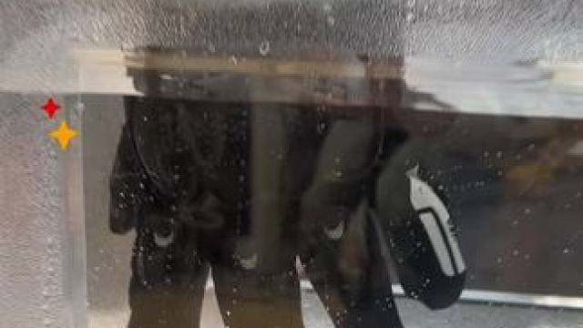 我发布了一个新视频，快来围观吧！