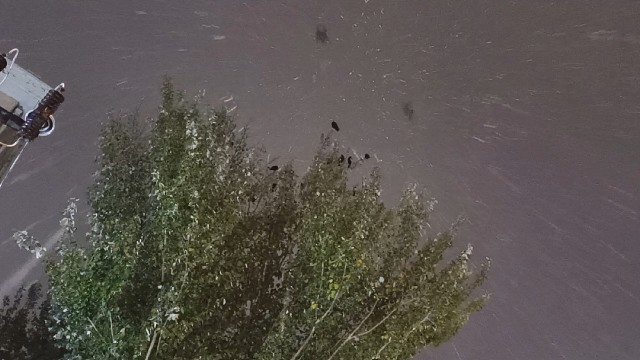 不期而遇的雪