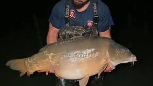 #国外视频分享 #好大一条鱼 #钓鱼的乐趣只有钓鱼人懂