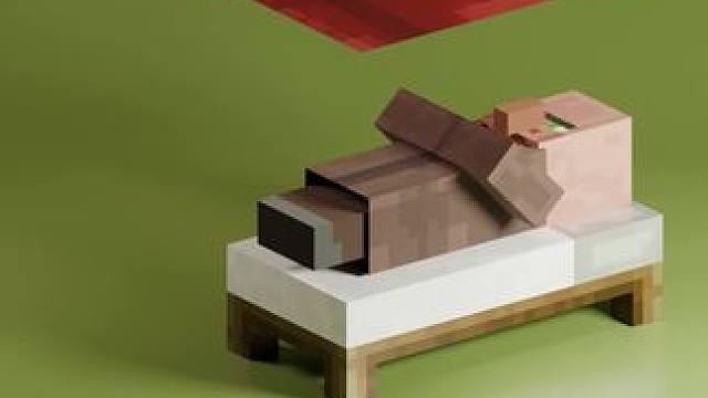 #我的世界 #Minecraft  