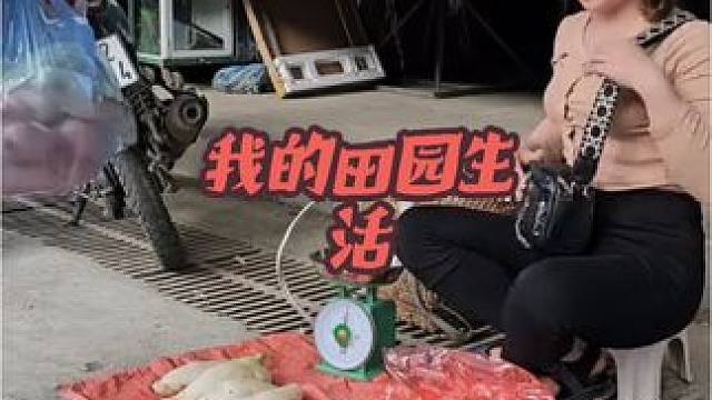 采集白萝卜#荒野建造 #我的乡村生活 #美女 #白萝卜 #上热门