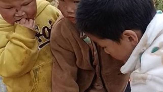 在地里找到一饼向日葵。#记