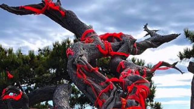 华山之险，天下闻名。那陡峭的崖壁，仿佛是大自然用巨斧劈开的杰作。每一步攀登，都是对自我的挑战，也是与