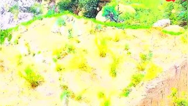 《西瓜视频》，观看精彩后续《西瓜视频》，观看精彩后续《西瓜视频》，观看精彩后续《西瓜视频》，观看精