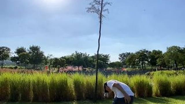 一棵树试试这样拍一镜到底太美了#手机摄影 #拍摄技巧 #治愈系风景