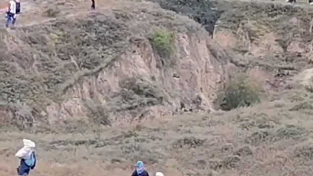 背着树苗上山植树