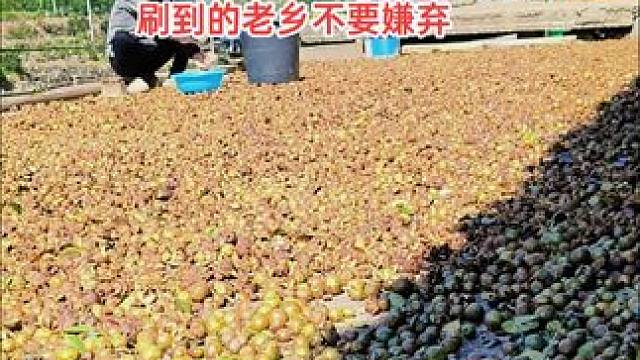 别嫌弃我们农村人，都说人穷志不穷，，你有你的山珍海味，我有我的粗菜淡饭，过日子图的就是安慰和踏实！#