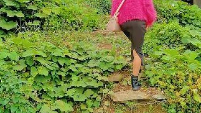 父母在的时候，家就在。父母不在了，家也就没有了。每次回到故乡，只会感到茫然，老宅虽然还在，但没有了父