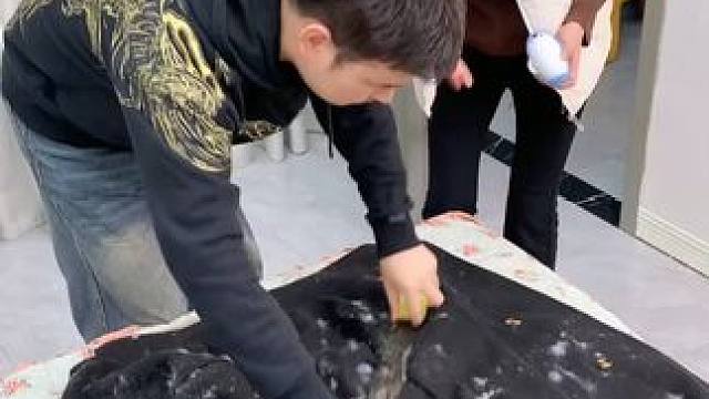 神奇的粘毛器!不仅能轻松清理头发和猫猫狗狗掉落的毛发，水一冲就干净能继续用了 #粘毛神器  #养猫人