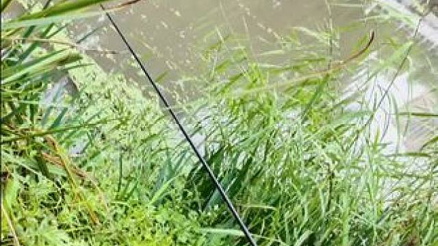 #亲近大自然的一天 #萌娃的星期天。 #ee们来看我家萌娃 #随拍记录生活