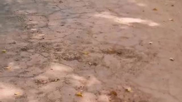 #农村生活 #我的真实农村生活 #简简单单的农村生活 #记录农村田园生活 #三农生活