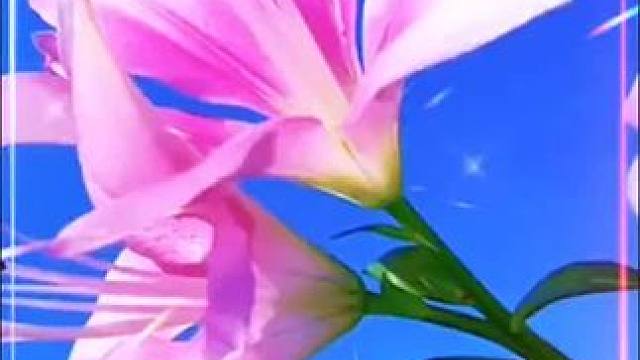 #音乐#音乐分享 #音乐推荐 #