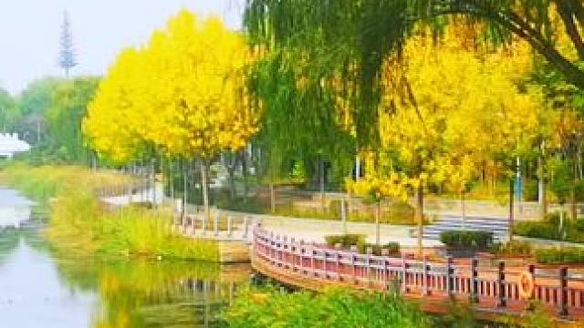 #风景如画的地方