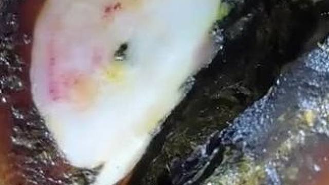 牛牛的问题显而易见#解压 #修牛蹄