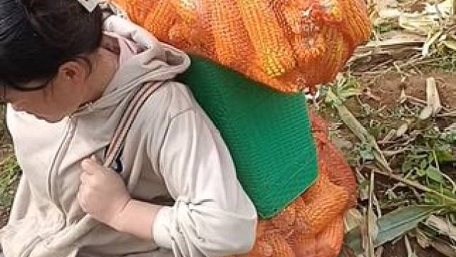 今天撕包谷回来，饭都没有吃，孩子们就睡着了#记录真实生活