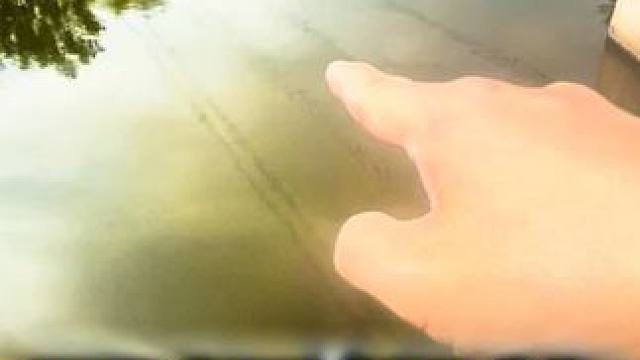 昨天那条河钓的鲫鱼太小了，今天这鲫鱼可以了吧#钓鱼人 #野钓