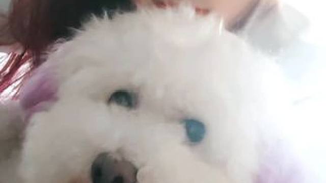 #看我的吸收魔法 #我的魔法天空 #魔法小狗