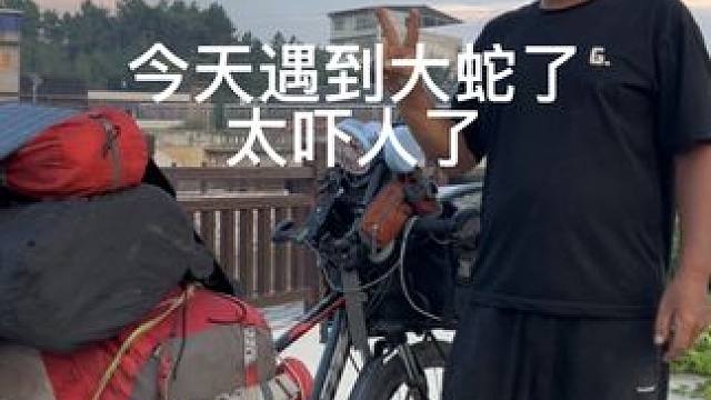 差个从一条大蛇身上骑行过去，深山老林果然恐怖如斯 #我的骑行日记 #记录真实生活 #真实户外 #骑行