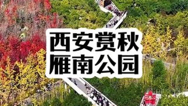 周末的雁南公园人山人海，银杏树也变黄了，公园里五颜六色的，到处都是赏秋拍照的，太热闹了，适合亲子游玩
