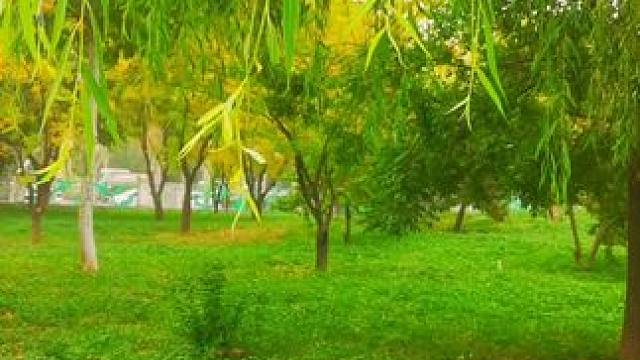 #一起享受大自然的美