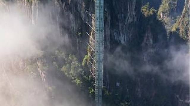 无人机飞跃莽山大峡谷，才知这座大山的壮美！#莽山五指峰 #一座不用爬的山 #航拍莽山