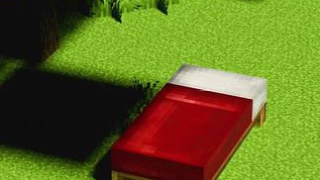 #我的世界 #Minecraft