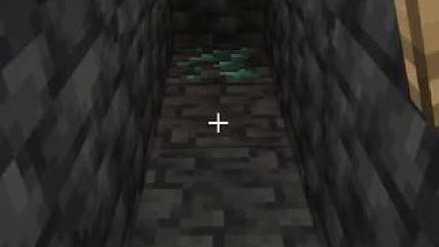 #我的世界 #Minecraft