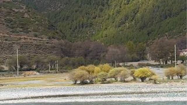 山川给我跳动的脉搏，阳光给我青春的光泽。黄昏的河畔，静谧而浪漫，光影交错。尽享惬意时光#美在山水间 