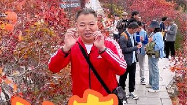 长寿山 #到深蓝的天空下感受秋日 #长寿山#把秋日落叶拍出氛围感 ##随拍