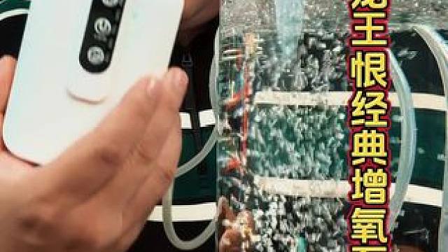 龙王恨经典款增氧泵 户外钓鱼，增氧泵可以备一个，这样钓上来的鱼想养多久就可以养多久。#增氧泵 #便携