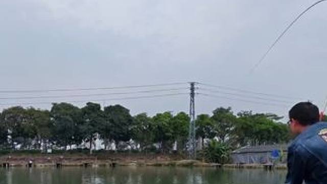 钓青鱼螺好点，还是颗粒好点？#