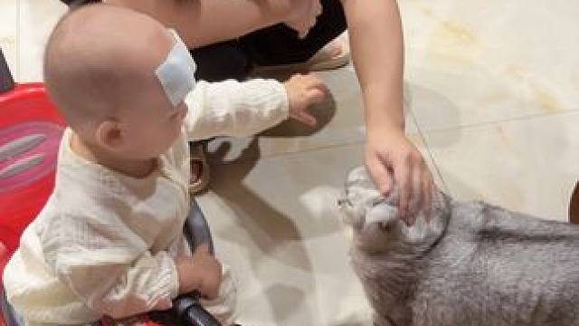 阿蛋不想给弟弟摸，但是又想跟着弟弟 