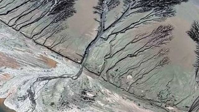 惊艳！大自然的画作！钱塘江现壮美“潮汐树”，古朴典雅如画。水墨丹青，自然天成，一方天地，钱塘入画。诗