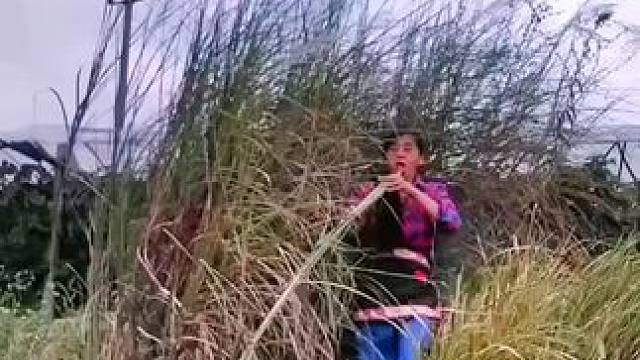 我发布了一个新视频，快来围观吧！