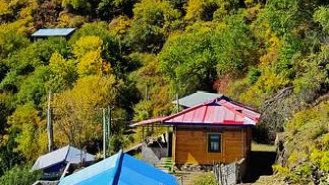 #慢充旅行太治愈了 #每一帧都是热爱 #来一场秋天的慢充旅行 #所以你找到人生的意义了吗 #西藏的秋